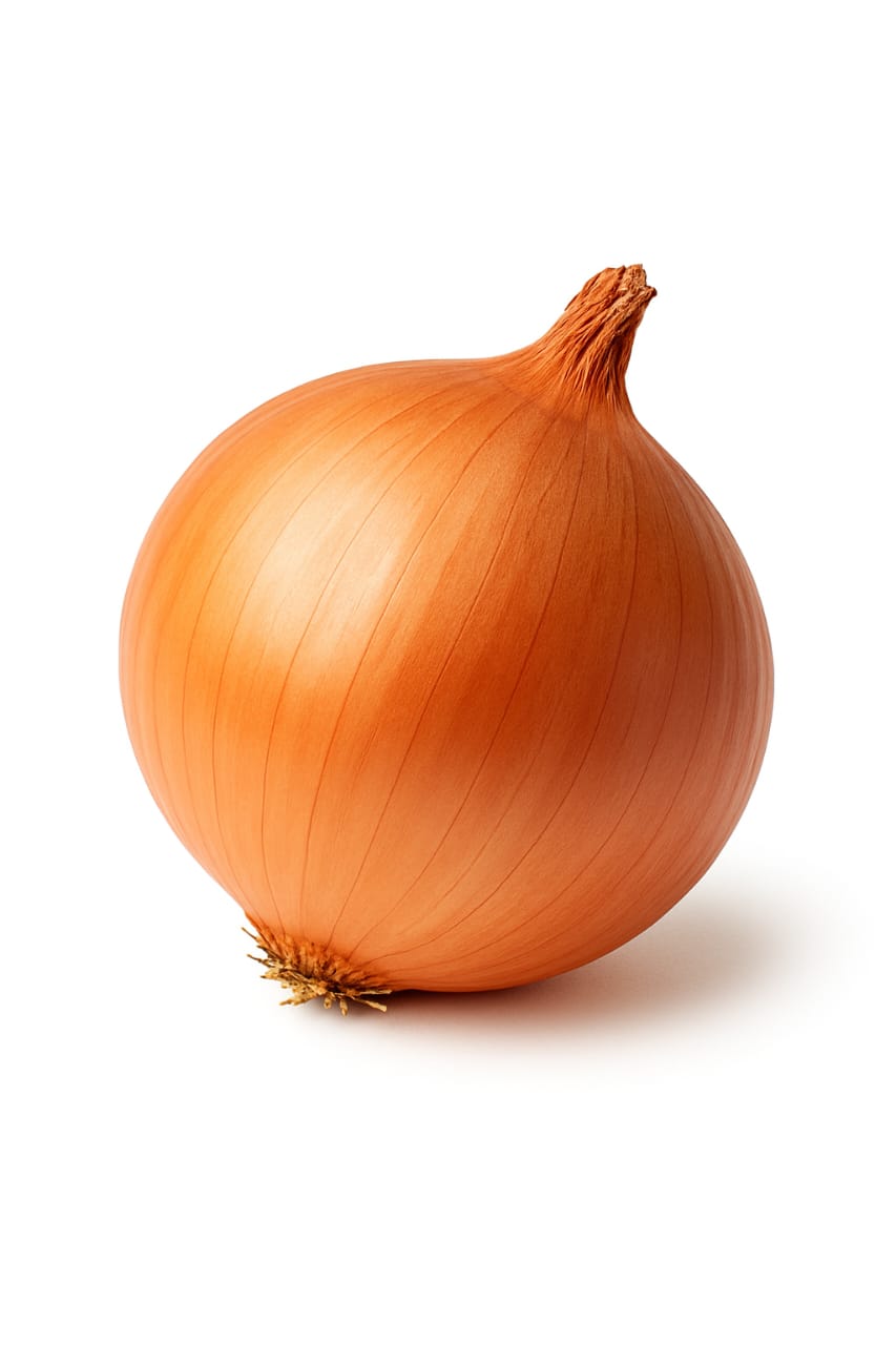 Onion